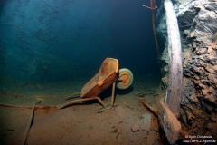 073 Nuttlar_UWPICs-Bjoern