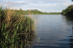 6409 Kreidesee Hemmoor 20.06.13