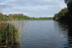 6410 Kreidesee Hemmoor 20.06.13